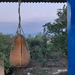 بومگردی گنج رنج پدر