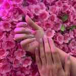 ناخنکار بریانک