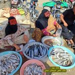 پنج‌ شنبه بازار میناب