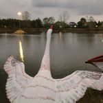 مجتمع رفاهی نور