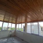 داود نعمتی جمالی
