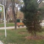 بوستان شهیده مریم فراهانیان
