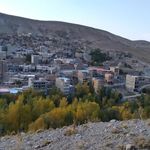 لبنیاتی اعتماد لیقوان