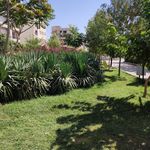 بوستان فدک