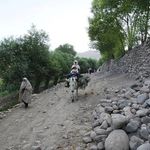 لبنیاتی اعتماد لیقوان