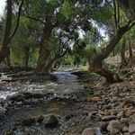 لبنیاتی اعتماد لیقوان