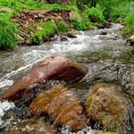 لبنیاتی اعتماد لیقوان