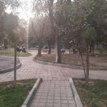 بوستان گل مریم