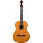 گالری موسیقی اندیشه