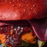 برگر ژکال برگر 