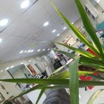 سالن زیبایی ونوس مسجدسلیمان