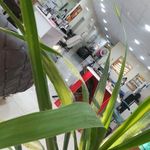 سالن زیبایی ونوس مسجدسلیمان