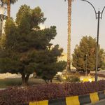 ميدان ولايت