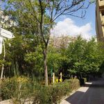 بوستان دامن افشار