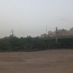 پارک ولی عصر