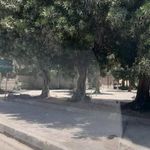 بوستان یاسمن