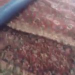 قالیشویی آریا غرب