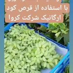 کارشناس کشاورزی