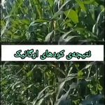 کارشناس کشاورزی