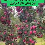 کارشناس کشاورزی