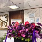 دندانپزشکی بی درد اطفال بزرگسال سارینا