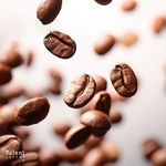 فروش چای و قهوه شکلاد