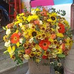 پخش گل خانزاده(شعبه 1)