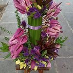 پخش گل خانزاده(شعبه 1)