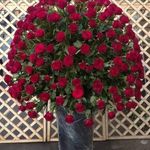 پخش گل خانزاده(شعبه 1)