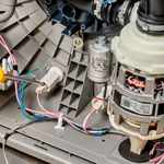 خدمات فنی سلول خاکستری قائم