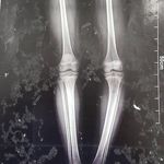 دکتر سید میلاد رنجبر