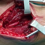 دکتر سید میلاد رنجبر