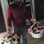 گل احمدی