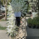 گل فروشی رضوان
