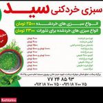 سبزی خردکنی سید