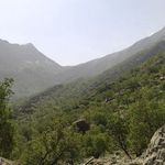 منطقه حفاظت گردیده کوه خامین