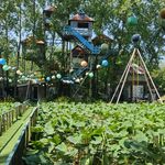 آلاچیق درختی