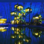 آلاچیق درختی