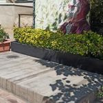 آرامگاه عباس کیارستمی