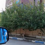 مجموعه ورزشی گلستان