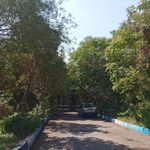 کتابخانه استاد شهریار
