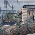 شرکت تجهیزات پزشکی هلال ایران (سها1)