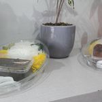 بیرون بر پرس