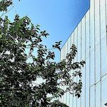 خدمات ساختمانی آبادگران