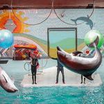 دلفیناریوم برج میلاد