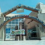 سازمان تامین اجتماعی   بیمه