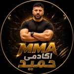 اکادمی تخصصی  MMA حمید