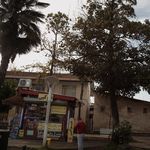 کیوسک سعیدی
