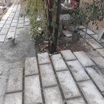 رحمت الله  قائدرحمتی