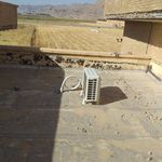 علی زرین جوی الوار